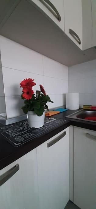 Gold Key Apartments, Durres Beach Extérieur photo